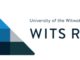 Wits RHI Vacancies