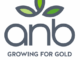 ANB Investments Vacancies 2025