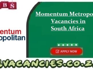 Momentum Metropolitan Vacancies
