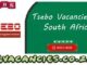 Tsebo Vacancies