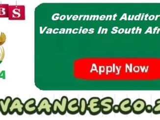 Government Auditor Vacancies