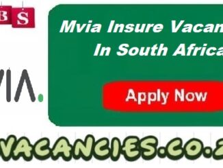 Mvia Insure Vacancies
