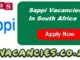 Sappi Vacancies