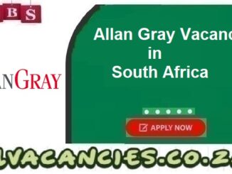 Allan Gray Vacancies
