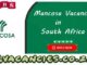 Mancosa Vacancies