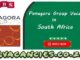 Panagora Group Vacancies
