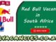 Red Bull Vacancies