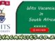 Wits Vacancies