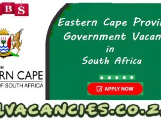 Eastern Cape Provincial Government Vacancies