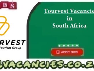 Tourvest Vacancies