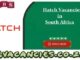 Hatch Vacancies