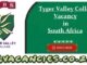 Tyger Valley College Vacancy