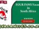 FOUR PAWS Vacancies