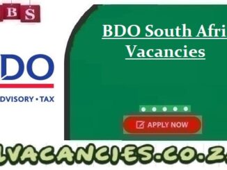 BDO South Africa Vacancies