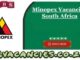 Minopex Vacancies