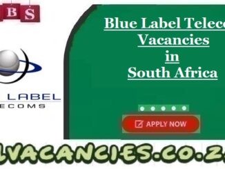 Blue Label Telecoms Vacancies