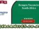 Remgro Vacancies