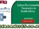 Cyber Pro Consulting Vacancies