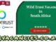 Wild Trust Vacancies