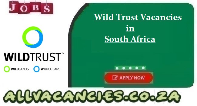 Wild Trust Vacancies Wild Trust Vacancies