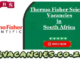 Thermo Fisher Scientific Vacancies