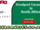Woolpert Vacancies