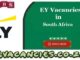 EY Vacancies