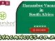 Harambee Vacancies