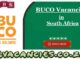 BUCO Vacancies